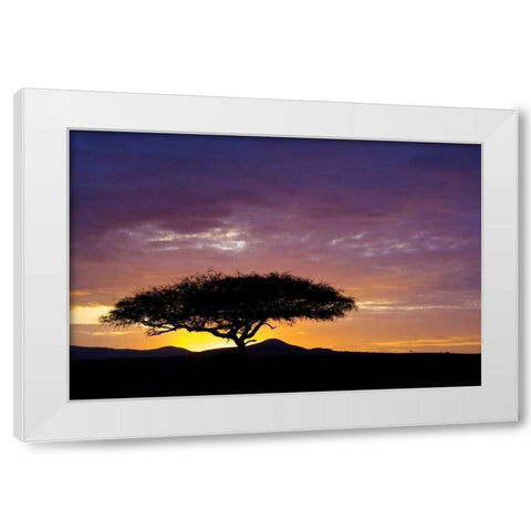Kenya, Masai Mara Sunrise silhouettes acacias White Modern Wood Framed Art Print by Kirkland, Dennis