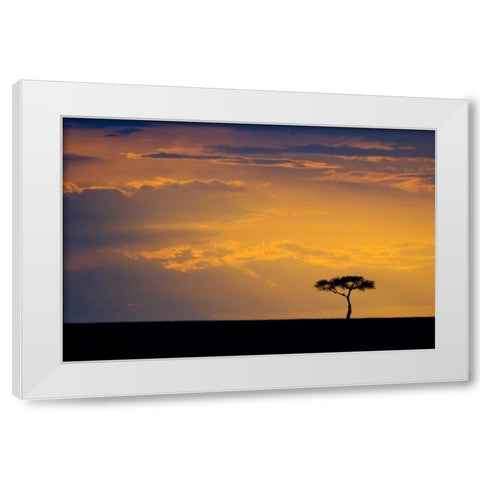 Kenya, Masai Mara Sunrise silhouettes an acacia White Modern Wood Framed Art Print by Kirkland, Dennis