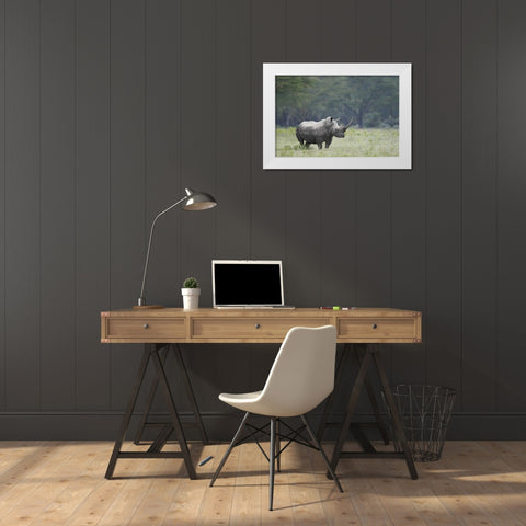 Kenya, Nakuru NP White rhinoceros grazing White Modern Wood Framed Art Print by Morris, Arthur