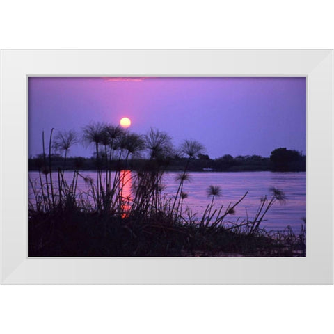 Kenya Sunset reflects on water through reeds White Modern Wood Framed Art Print by Williams, Joanne