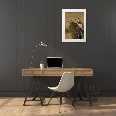 Kenya Profile of two lappet-faced vultures White Modern Wood Framed Art Print by Williams, Joanne