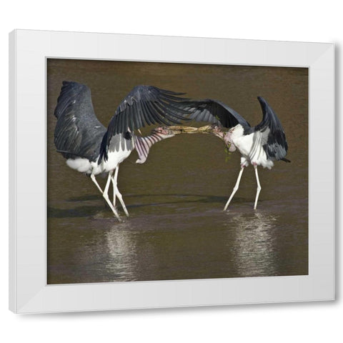 Kenya Marabou storks with nesting material White Modern Wood Framed Art Print by Williams, Joanne