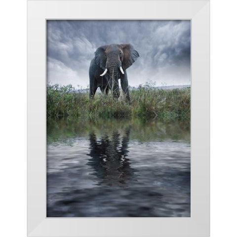Kenya, Masai Mara Elephant reflecting in water White Modern Wood Framed Art Print by Zuckerman, Jim
