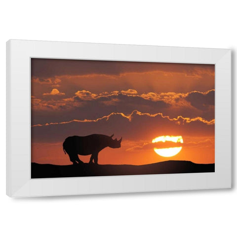 Kenya, Masai Mara White rhinos at sunset White Modern Wood Framed Art Print by Zuckerman, Jim