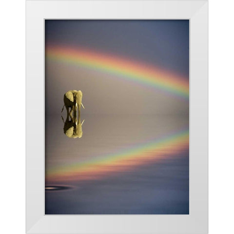 Kenya, Masai Mara Bull elephant and rainbow White Modern Wood Framed Art Print by Zuckerman, Jim