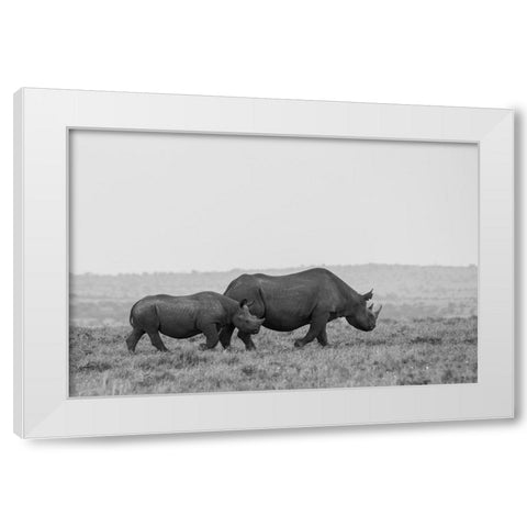 Africa-Kenya-Serengeti-Maasai Mara-Black rhinoceros-Critically endangered White Modern Wood Framed Art Print by Hopkins, Cindy Miller