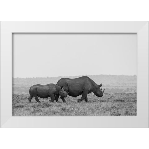 Africa-Kenya-Serengeti-Maasai Mara-Black rhinoceros-Critically endangered White Modern Wood Framed Art Print by Hopkins, Cindy Miller