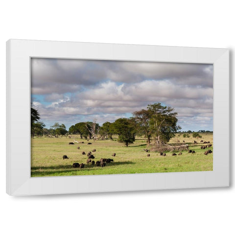 Landscape of the savannah-Tsavo-Kenya White Modern Wood Framed Art Print by Pitamitz, Sergio