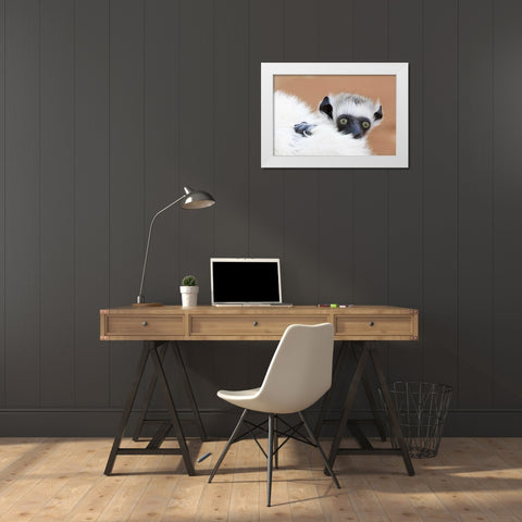 Madagascar Verreaus sifaka baby and mother White Modern Wood Framed Art Print by Williams, Joanne