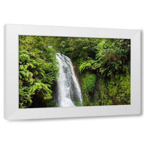 Madagascar-Antsiranana Amber Mountain National Park waterfall White Modern Wood Framed Art Print by Hogstrom, Inger