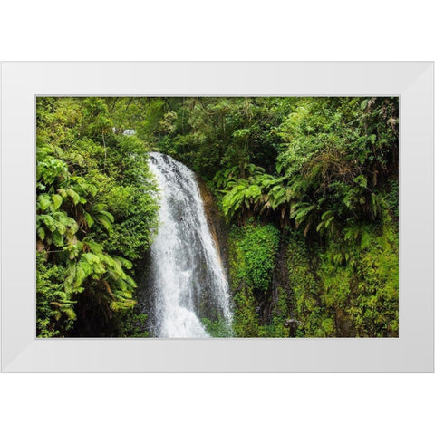 Madagascar-Antsiranana Amber Mountain National Park waterfall White Modern Wood Framed Art Print by Hogstrom, Inger