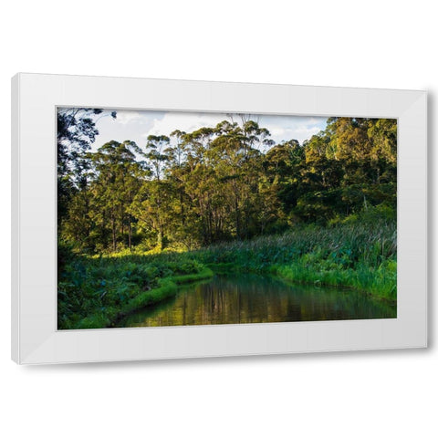 Madagascar-Andasibe-Vakona Lodge-Lemur Island Sunset over the canals that keep the lemurs White Modern Wood Framed Art Print by Hogstrom, Inger