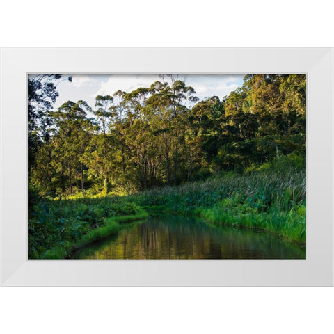 Madagascar-Andasibe-Vakona Lodge-Lemur Island Sunset over the canals that keep the lemurs White Modern Wood Framed Art Print by Hogstrom, Inger