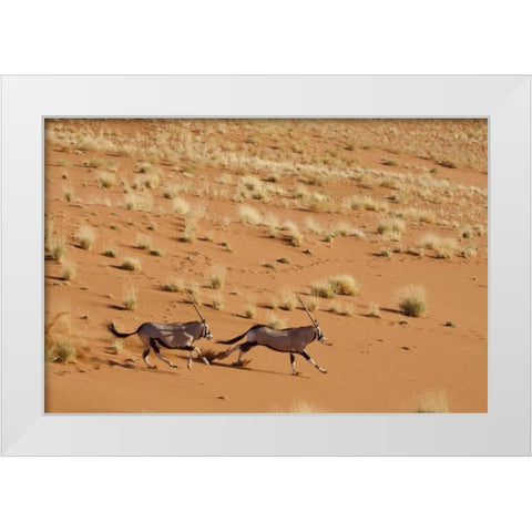 Oryx pair running, Dead Vlei, Sossusvlei, Namibia White Modern Wood Framed Art Print by Kaveney, Wendy