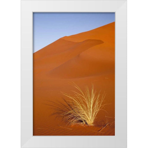 Grass and reddish sand dune, Sossusvlei, Namibia White Modern Wood Framed Art Print by Kaveney, Wendy