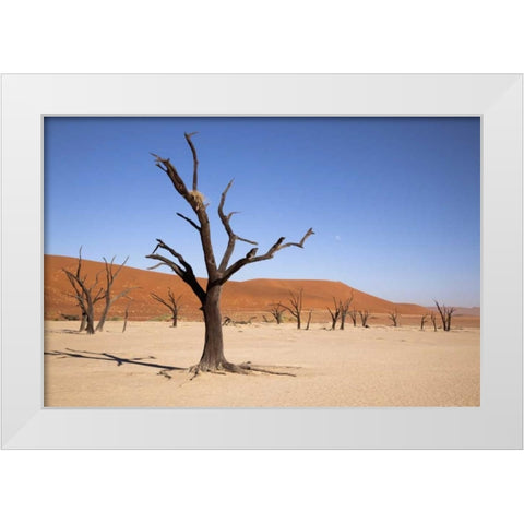 Moon and tree, Dead Vlei, Sossusvlei, Namibia White Modern Wood Framed Art Print by Kaveney, Wendy