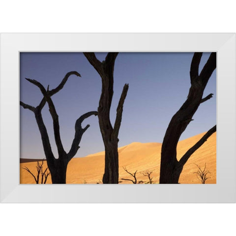 Tree and dunes, Dead Vlei, Sossusvlei, Namibia White Modern Wood Framed Art Print by Kaveney, Wendy