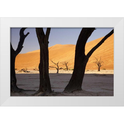 Tree and dunes, Dead Vlei, Sossusvlei, Namibia White Modern Wood Framed Art Print by Kaveney, Wendy