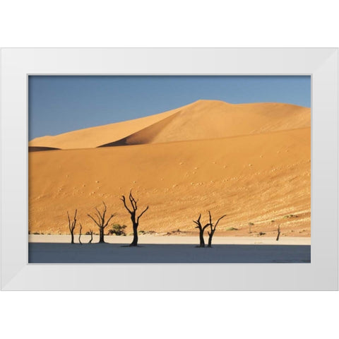 Sunrise on trees and dunes at Dead Vlei, Namibia White Modern Wood Framed Art Print by Kaveney, Wendy