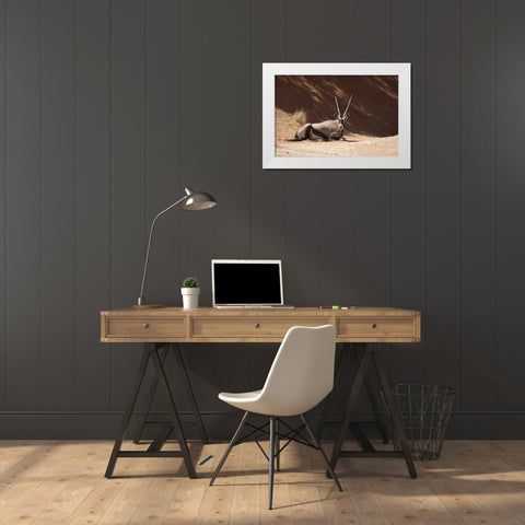 Resting Oryx, Namib-Naukluft, Sossusvlei, Namibia White Modern Wood Framed Art Print by Kaveney, Wendy