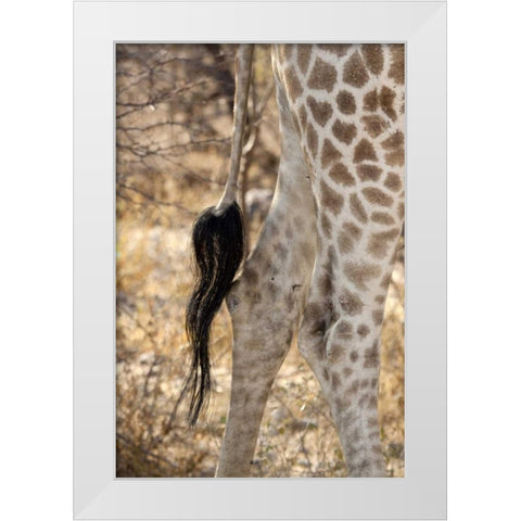 Giraffes tail and hind legs, Etosha NP, Namibia White Modern Wood Framed Art Print by Kaveney, Wendy