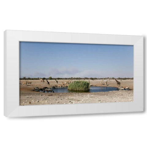 Animals gather at waterhole, Etosha NP, Namibia White Modern Wood Framed Art Print by Kaveney, Wendy