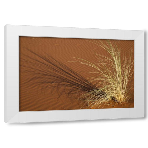 Tuft of grass in the Namib Desert, Namibia White Modern Wood Framed Art Print by Young, Bill