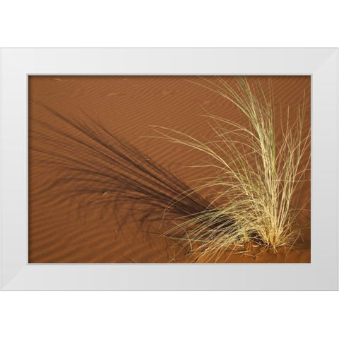 Tuft of grass in the Namib Desert, Namibia White Modern Wood Framed Art Print by Young, Bill