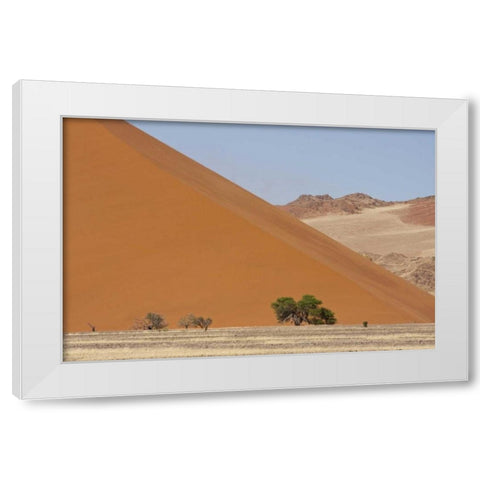 Sand Dunes, Namib Naukluft, Namib Desert, Namibia White Modern Wood Framed Art Print by Young, Bill