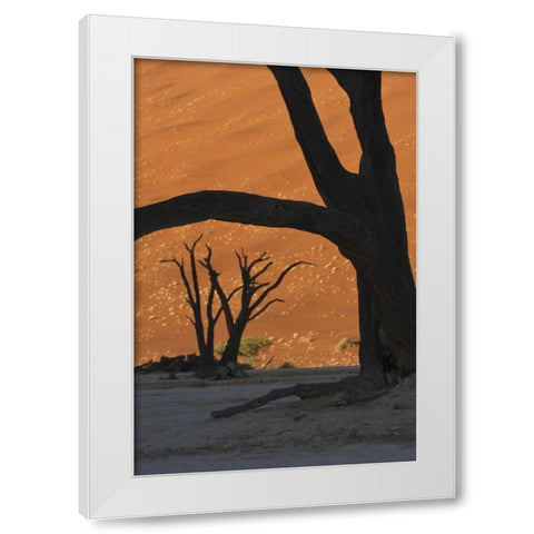 Namibia, Namib Desert Silhouette of lone tree White Modern Wood Framed Art Print by Kaveney, Wendy
