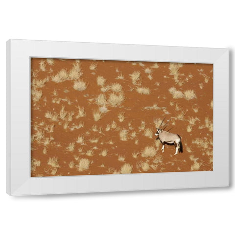 Namibia, Namib-Naukluft , Sossusvlei Lone oryx White Modern Wood Framed Art Print by Kaveney, Wendy