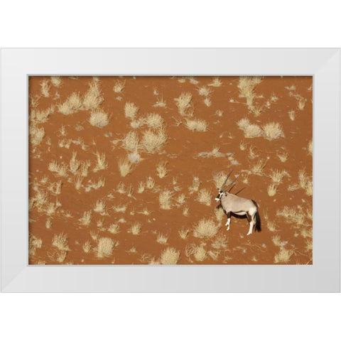 Namibia, Namib-Naukluft , Sossusvlei Lone oryx White Modern Wood Framed Art Print by Kaveney, Wendy