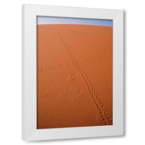 Namibia, Sossusvlei Animal tracks on a sand dune White Modern Wood Framed Art Print by Kaveney, Wendy