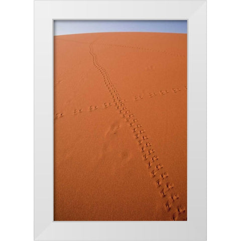 Namibia, Sossusvlei Animal tracks on a sand dune White Modern Wood Framed Art Print by Kaveney, Wendy