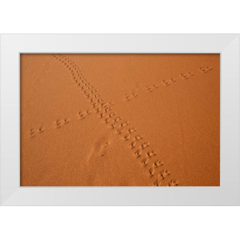 Namibia, Sossusvlei Animal tracks on a sand dune White Modern Wood Framed Art Print by Kaveney, Wendy