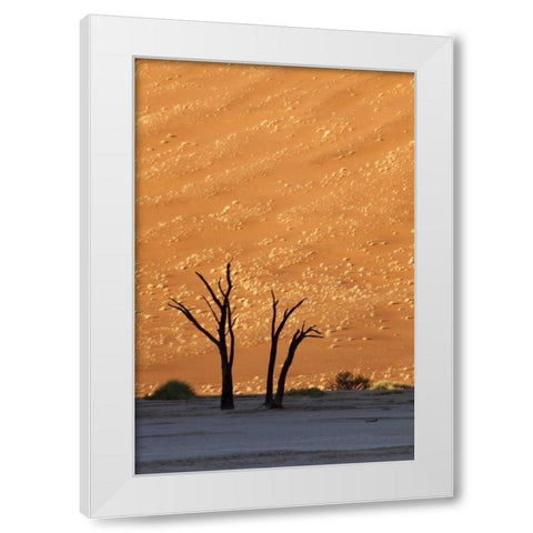 Namibia, Sossusvlei Dead trees with sand dune White Modern Wood Framed Art Print by Kaveney, Wendy