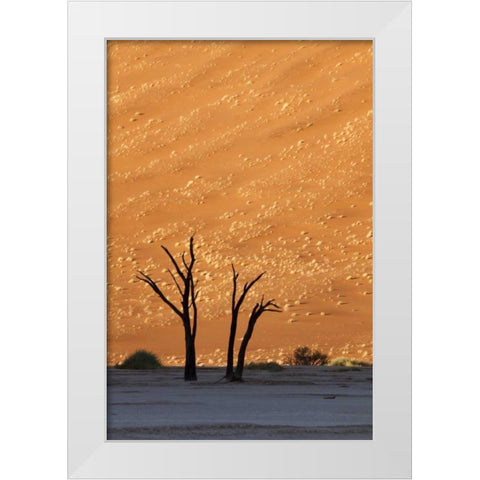 Namibia, Sossusvlei Dead trees with sand dune White Modern Wood Framed Art Print by Kaveney, Wendy
