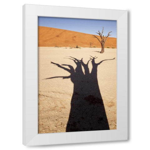 Namibia, Sossusvlei Dead tree casts shadow White Modern Wood Framed Art Print by Kaveney, Wendy