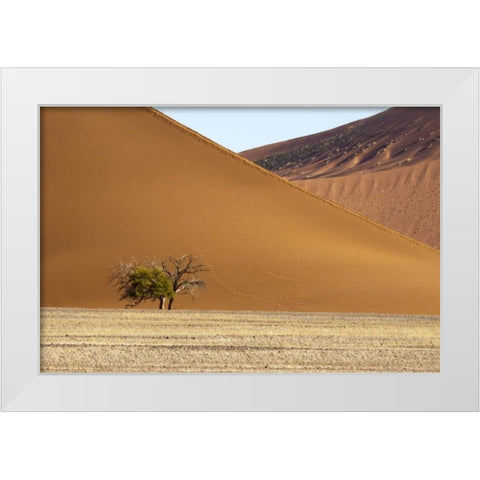 Namibia, Sossusvlei Contrasting sand dunes White Modern Wood Framed Art Print by Kaveney, Wendy