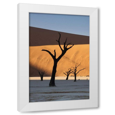 Namibia, Sossusvlei Sunrise on dead trees White Modern Wood Framed Art Print by Kaveney, Wendy