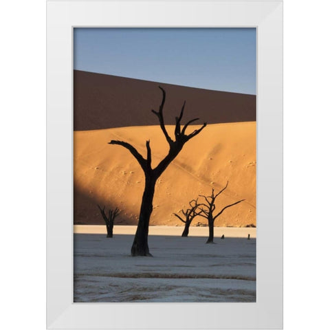 Namibia, Sossusvlei Sunrise on dead trees White Modern Wood Framed Art Print by Kaveney, Wendy