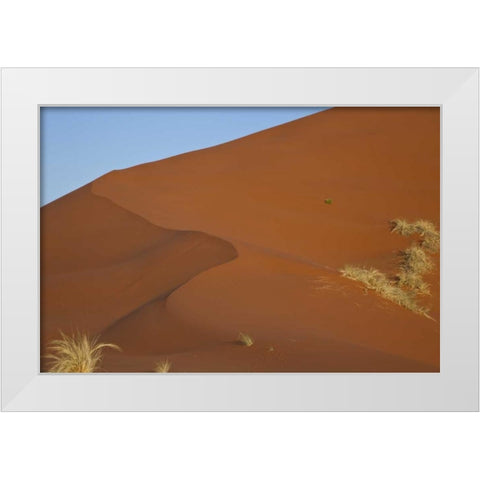 Namibia, Namib Desert, Grasses on sand dune White Modern Wood Framed Art Print by Young, Bill