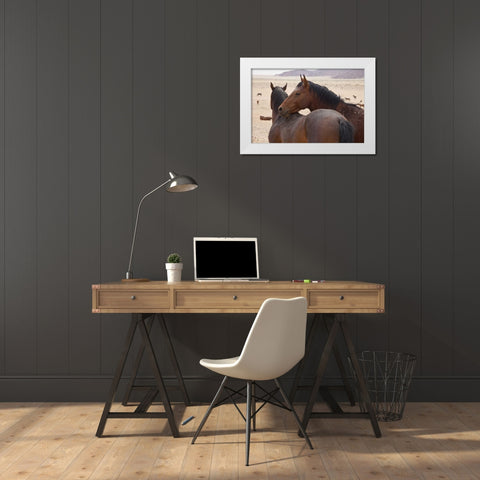 Namibia, Garub Two feral horses interact White Modern Wood Framed Art Print by Young, Bill