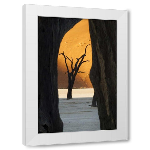 Trees and dunes, Dead Vlei, Sossusvlei, Namibia White Modern Wood Framed Art Print by Kaveney, Wendy