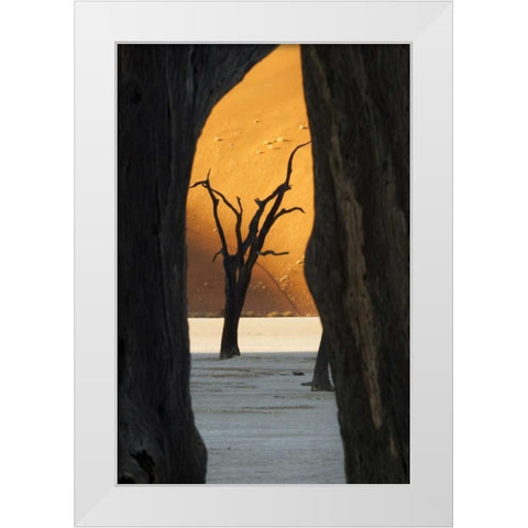 Trees and dunes, Dead Vlei, Sossusvlei, Namibia White Modern Wood Framed Art Print by Kaveney, Wendy
