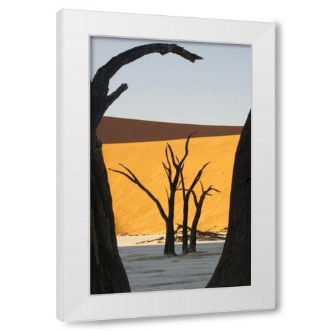 Trees and dunes, Dead Vlei, Sossusvlei, Namibia White Modern Wood Framed Art Print by Kaveney, Wendy