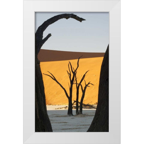 Trees and dunes, Dead Vlei, Sossusvlei, Namibia White Modern Wood Framed Art Print by Kaveney, Wendy