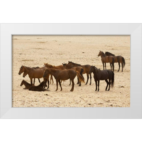 Namibia, Aus Wild horses on the Namib Desert White Modern Wood Framed Art Print by Kaveney, Wendy