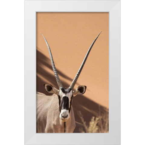 Namibia, Sossusvlei, Namib-Naukluft Park Oryx White Modern Wood Framed Art Print by Kaveney, Wendy
