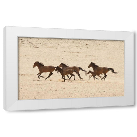 Namibia, Aus Group of running wild horses White Modern Wood Framed Art Print by Kaveney, Wendy